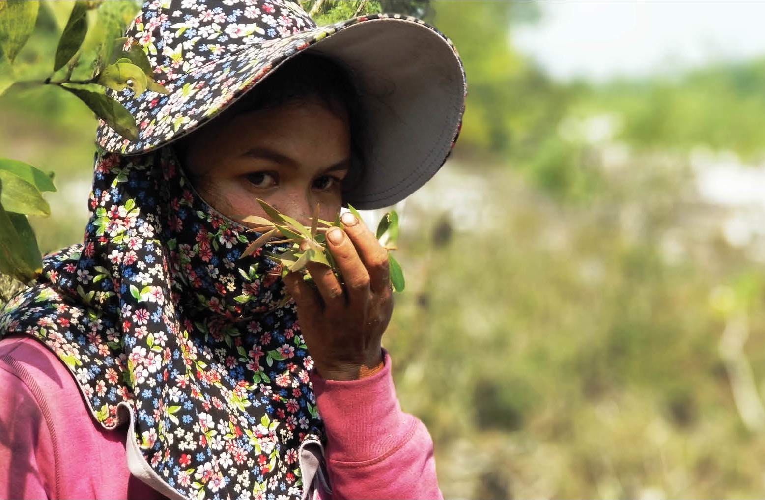 “Theo tràm gió, đỏ con mắt”