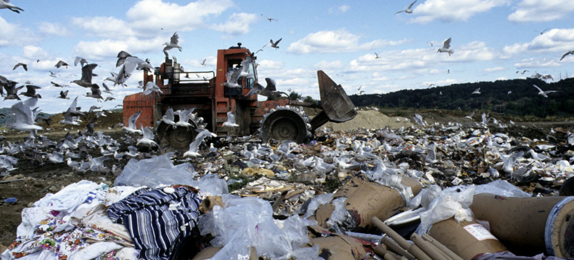 UNEP Hàng triệu người có nguy cơ tử vong sớm vào năm 2050