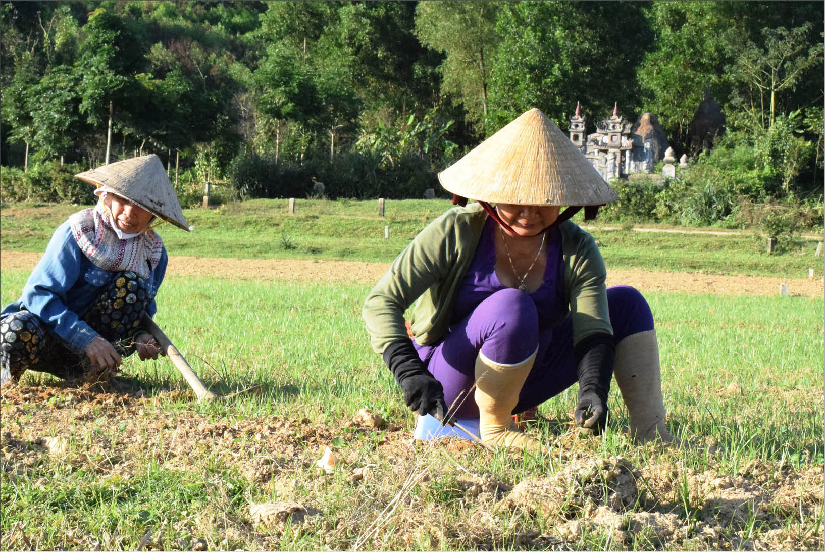 Phong Sơn Dân được cấp đất nhưng chưa thể làm nhà