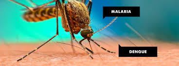 Các nước Mekong – Lan Thương tăng cường nỗ lực ngăn chặn bệnh dịch chung