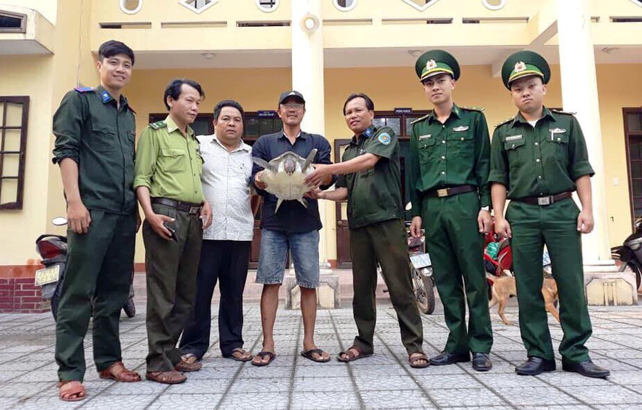 Thả cá thể rùa biển nằm trong Sách đỏ về tự nhiên