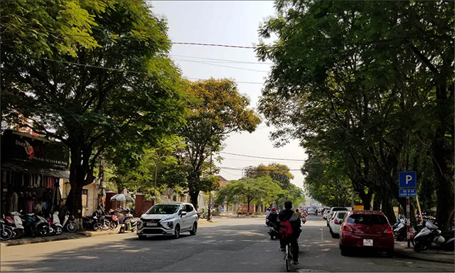 Tạo không gian xanh