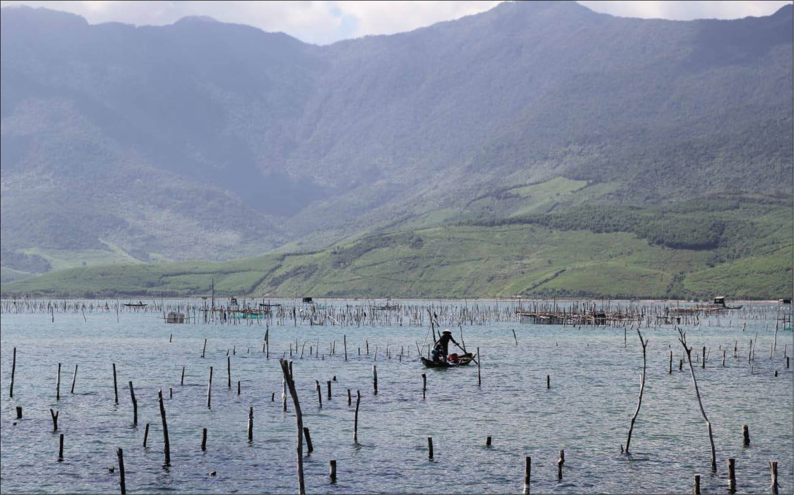 Nuôi hàu làm du lịch