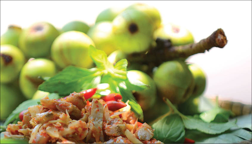 Quên đường về với mắm cá thia