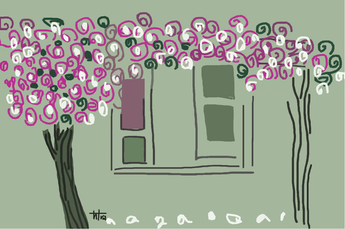 Sắc màu hoa giấy