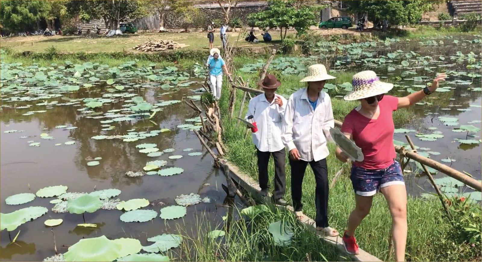 Starting by reviving the field work…