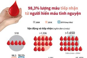 98,3 lượng máu tiếp nhận từ người hiến máu tình nguyện