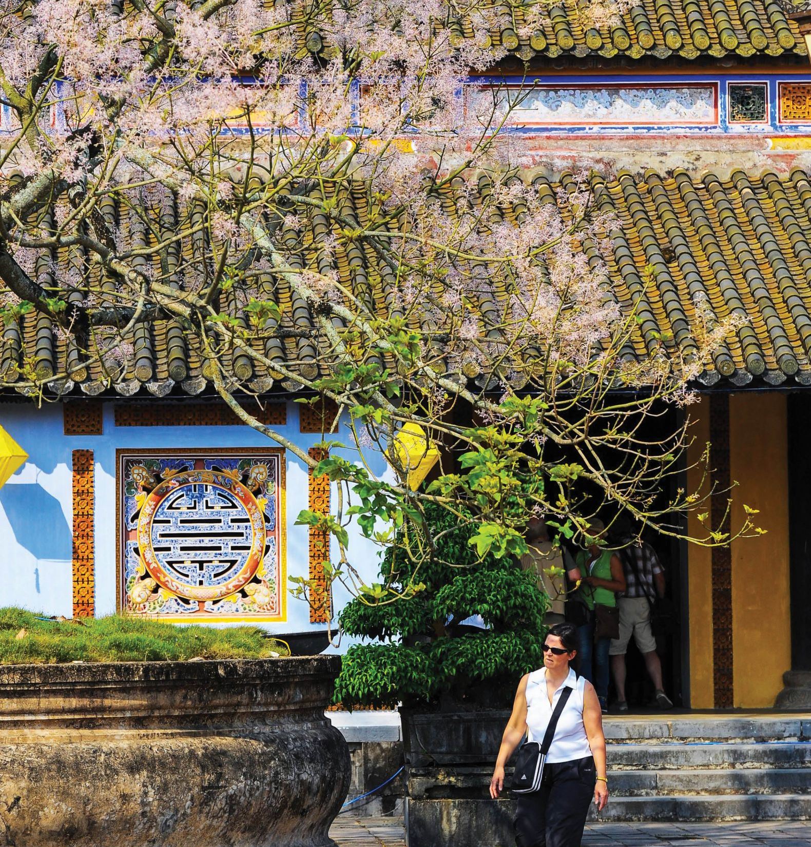 Flower streets to feature Hue beauty