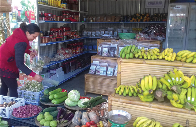 Kinh tế hợp tác xã trước yêu cầu mới