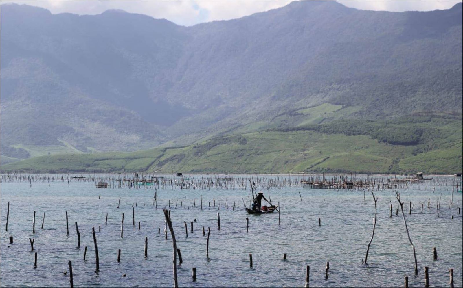 Growing oysters for tourism