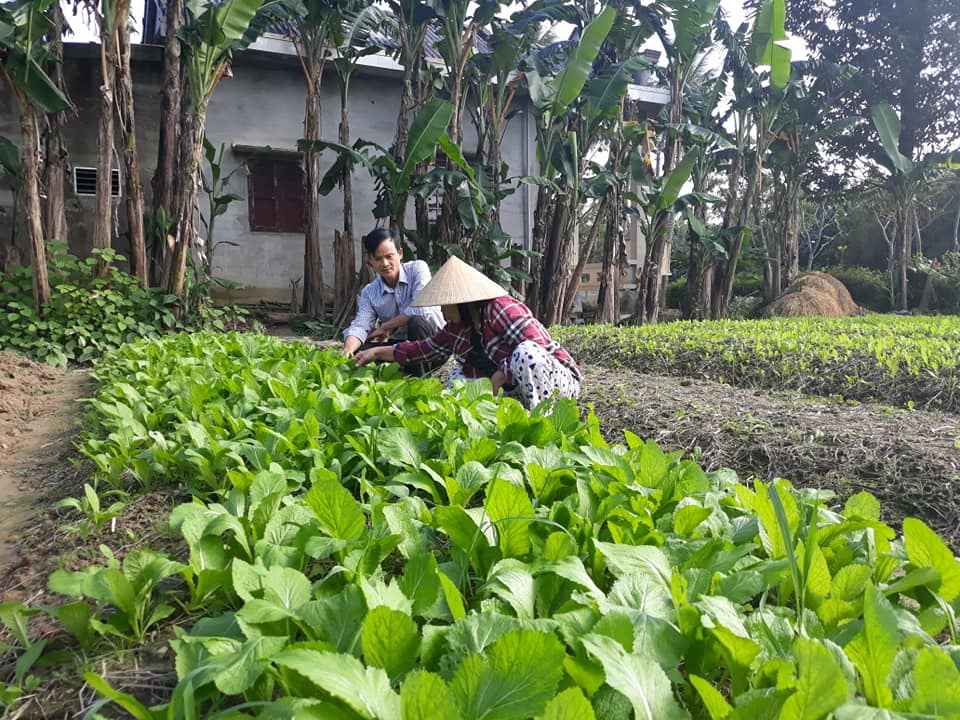 Dân chủ, đúng quy trình, quy định