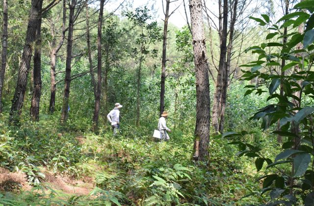 Người dân trồng cây, xây nhà “hóng” đền bù