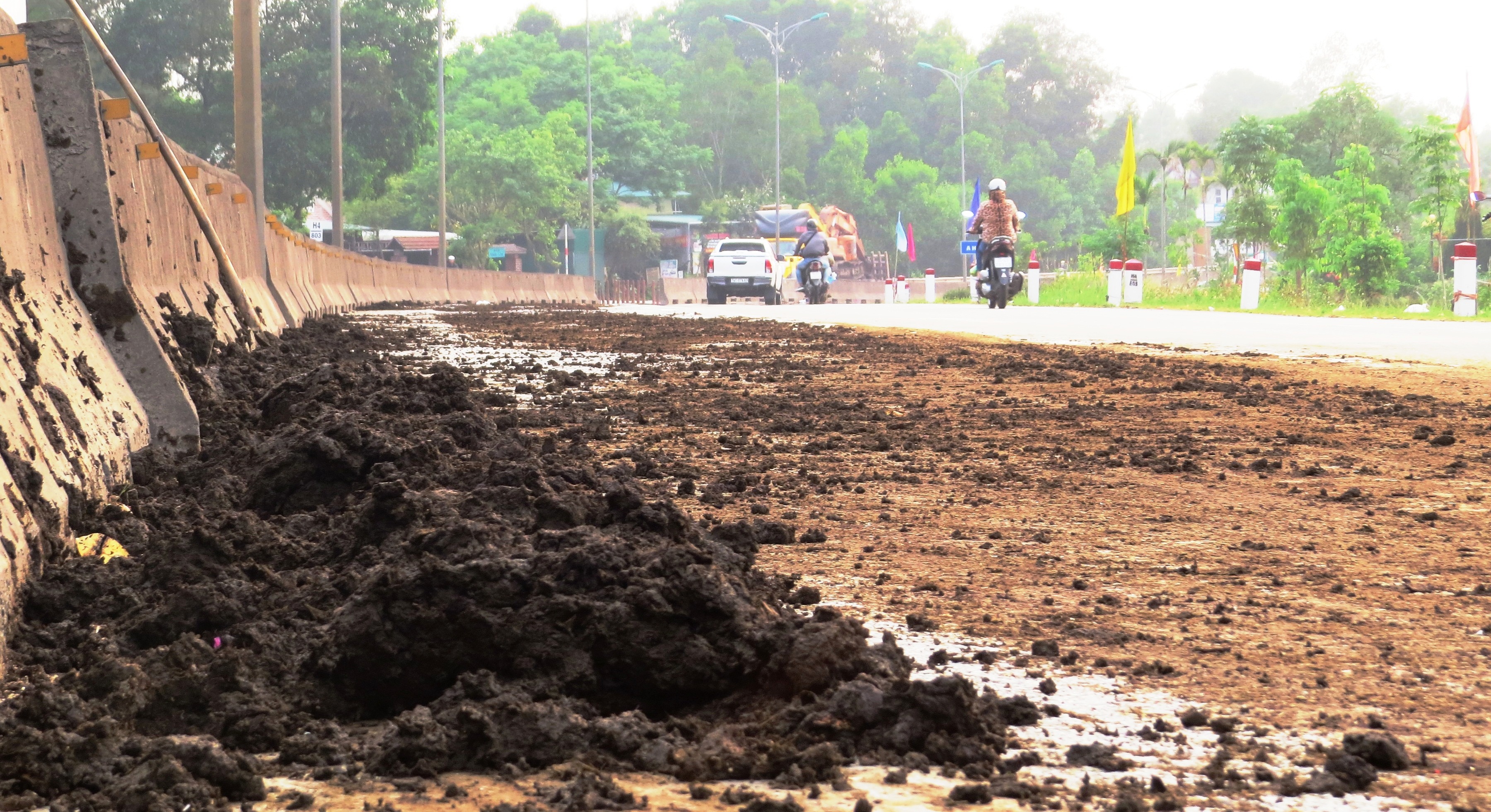 Phân chuồng rơi vãi, gây ô nhiễm môi trường