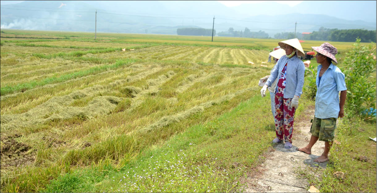 Người dân chưa đồng tình