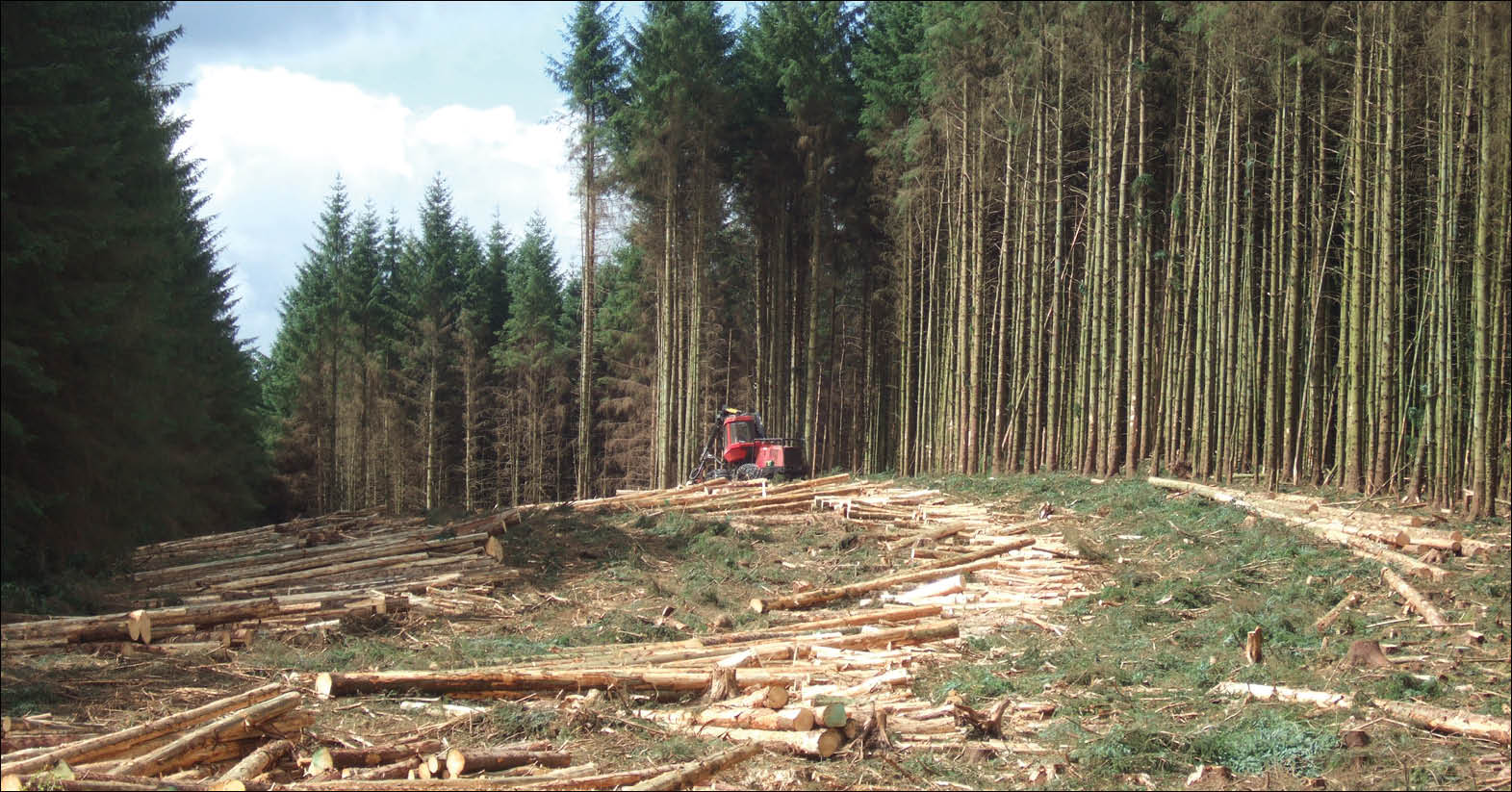 ASEAN trước nguy cơ đa dạng sinh học ngày càng bị thu hẹp