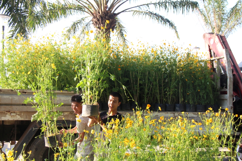 Tất bật trước giờ khai mạc Festival Nghề truyền thống