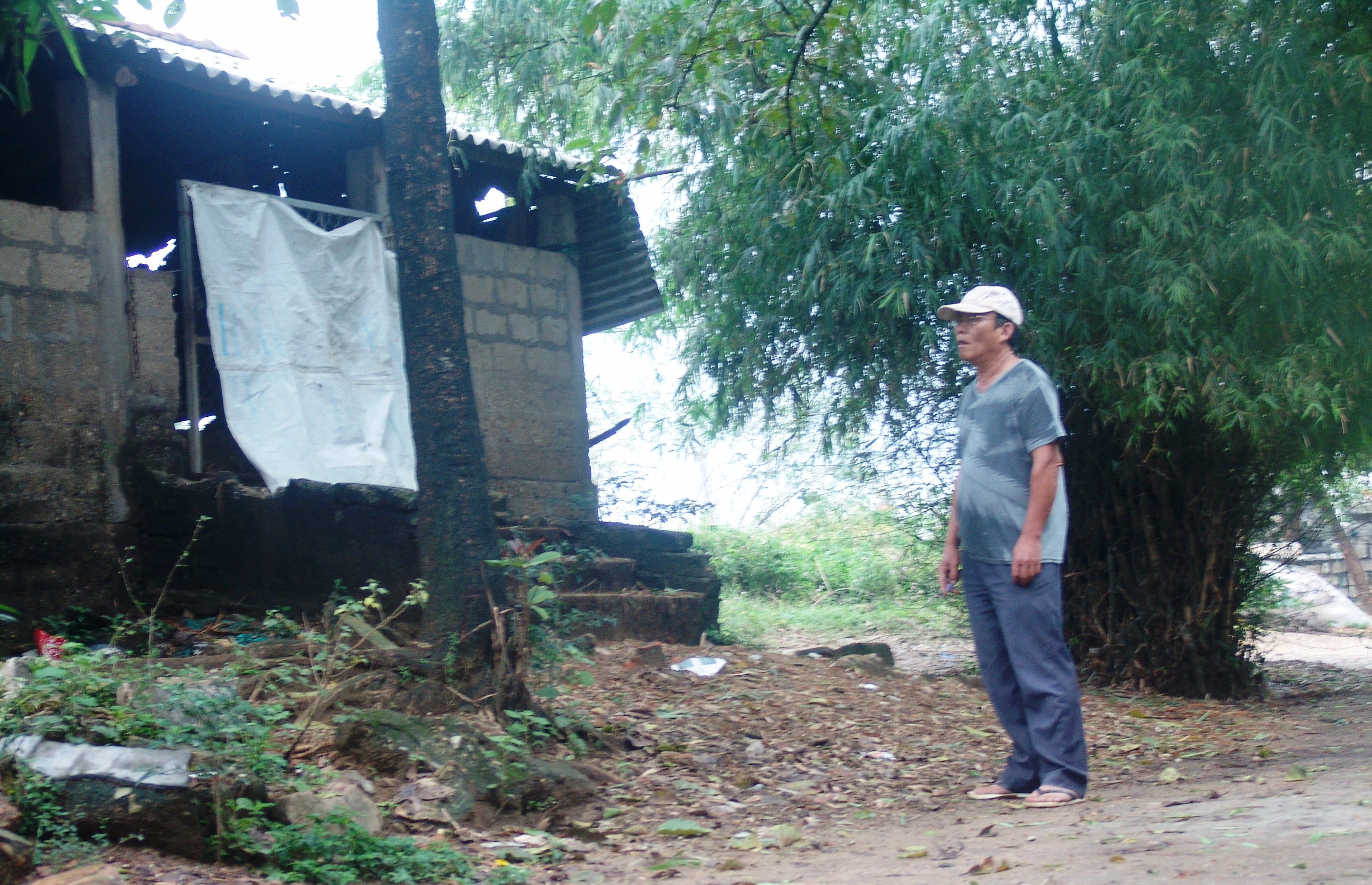 Nuôi gia súc trong khu dân cư gây ô nhiễm