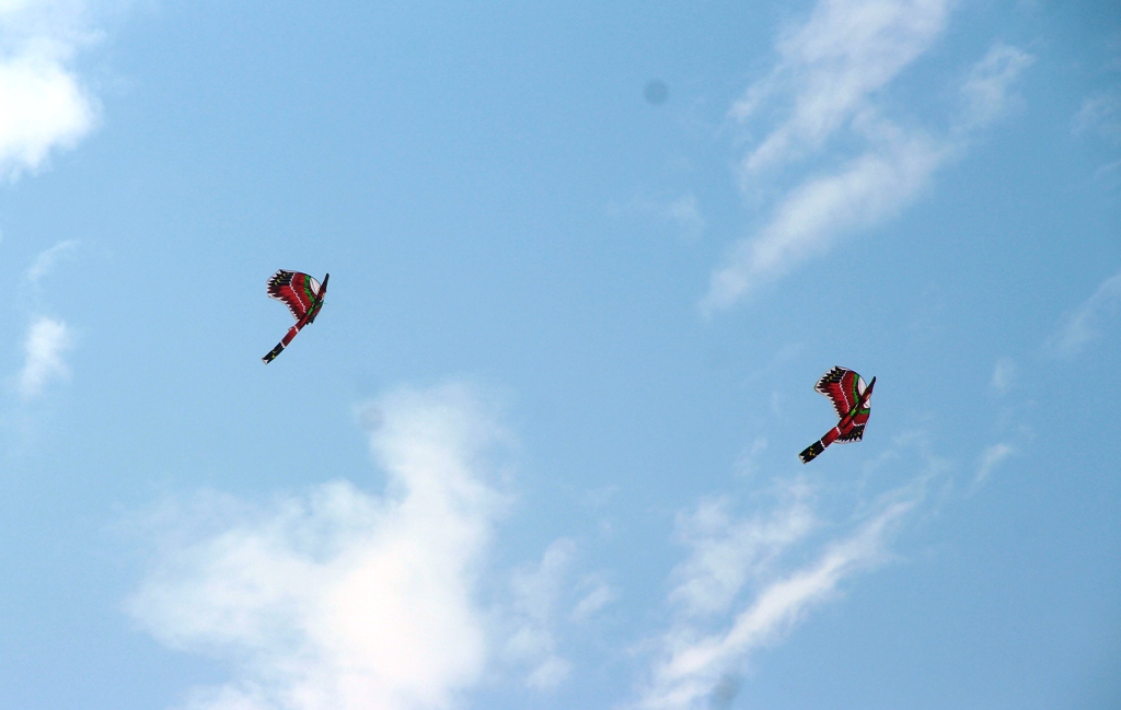 Bay cao những cánh diều nghệ thuật