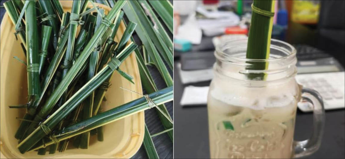 Philippines Độc đáo quán cà phê sử dụng ống hút bằng lá cọ