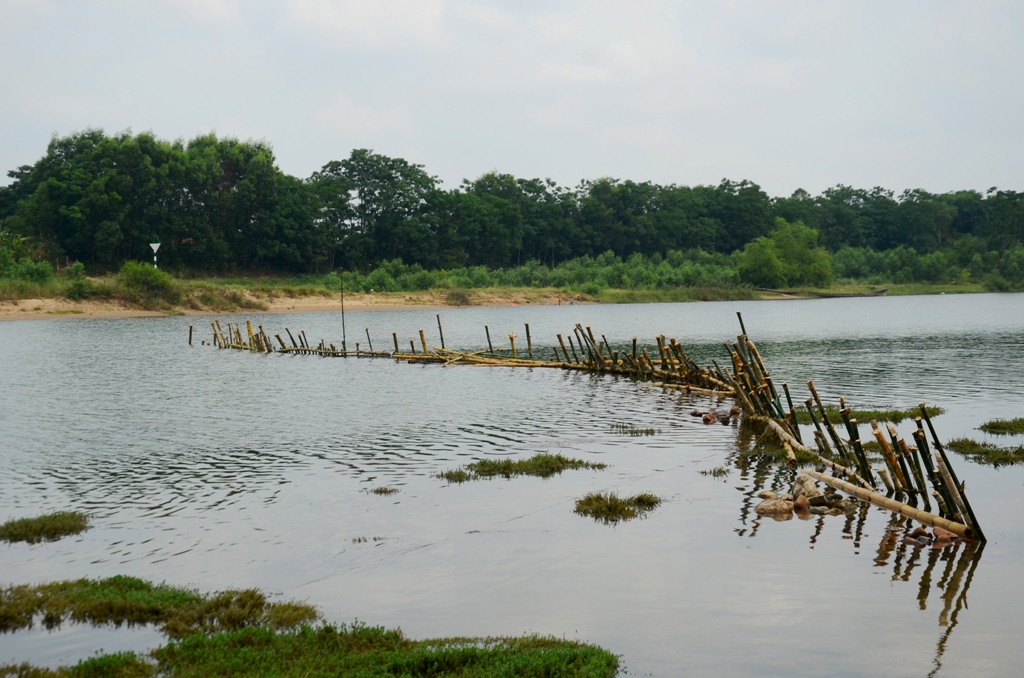 Đóng cọc tre ngăn khai thác cát trên sông