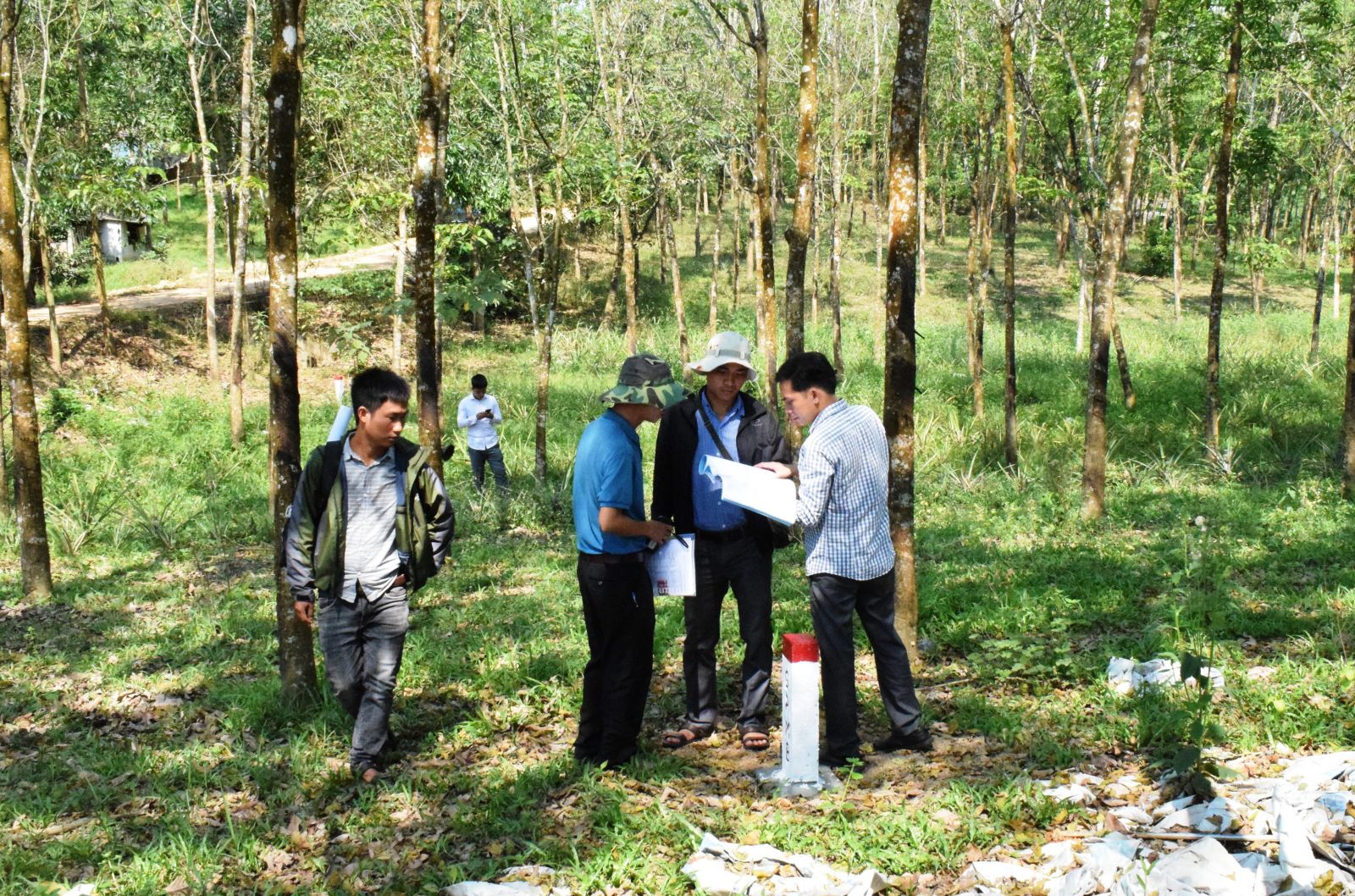 Xây 3 khu tái định cư đường cao tốc Cam Lộ-La Sơn tại Phong Điền