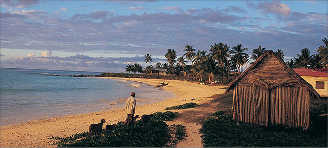 LHQ kêu gọi hành động tích cực hơn để chống biến đổi khí hậu