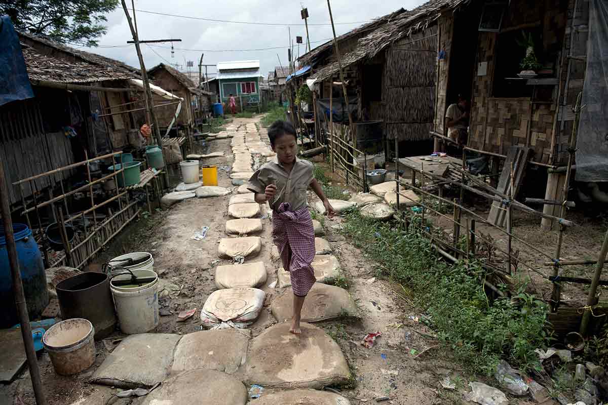 Chống lại biến đổi khí hậu bằng  cây tre