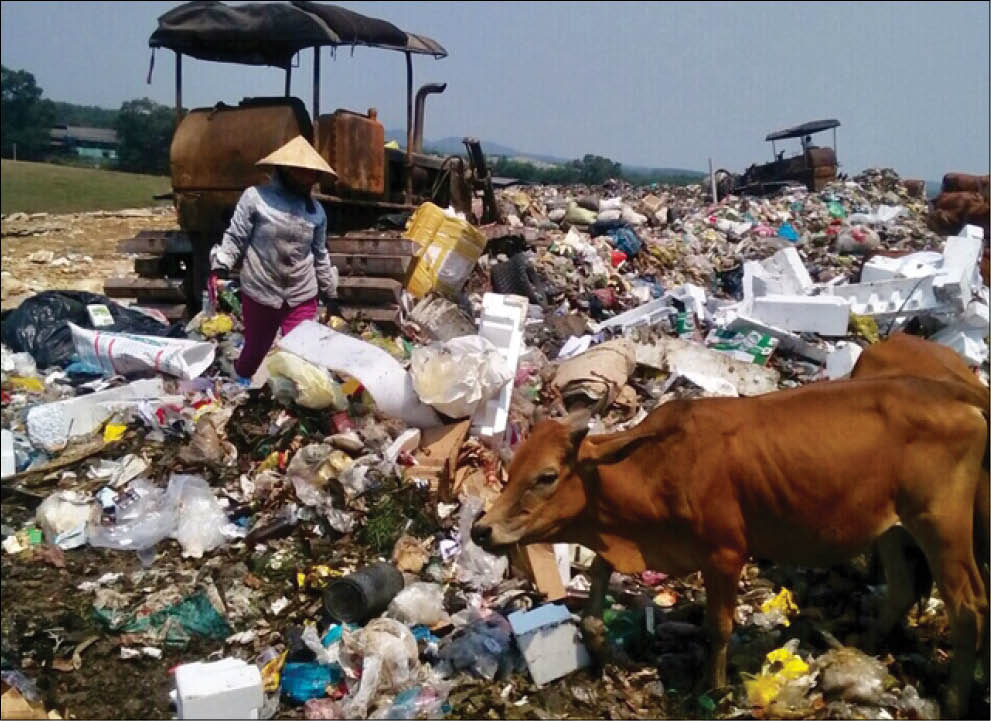 Ước mong từ rác