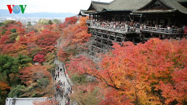 Số lượng khách nước ngoài tới Nhật Bản đạt mức kỷ lục