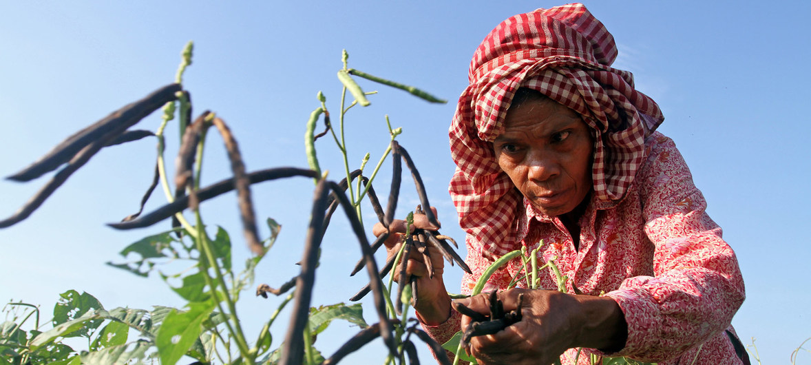 LHQ cắt giảm dự báo tăng trưởng kinh tế toàn cầu năm 2019