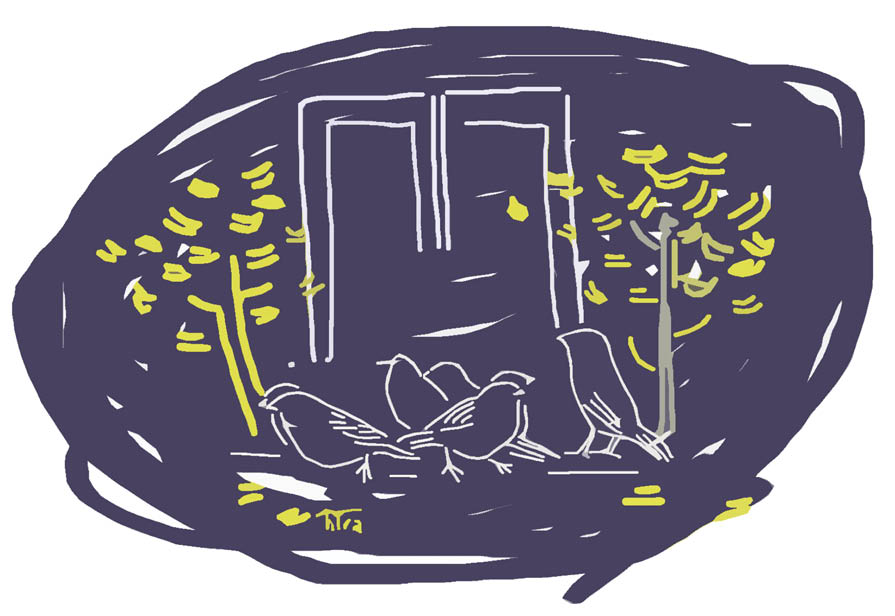 Gọi chim về làm tổ