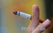 Giám sát chặt việc thực thi quy định cấm hút thuốc tại nơi làm việc