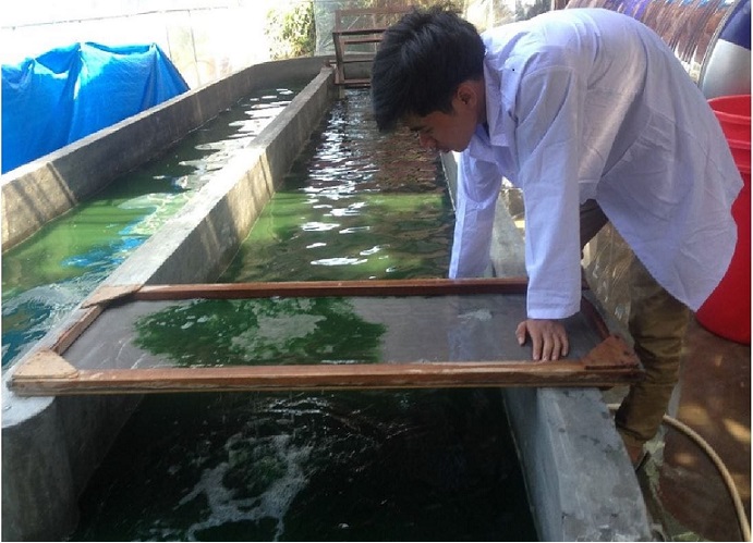 Hai hồ sơ tham gia cuộc thi “Phụ nữ và tương lai của nền kinh tế xanh