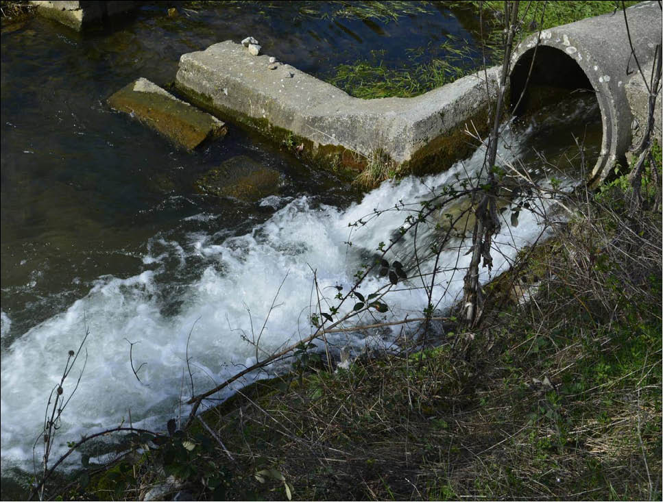 Các dòng sông trên thế giới đang bị ô nhiễm nặng chất thải kháng sinh