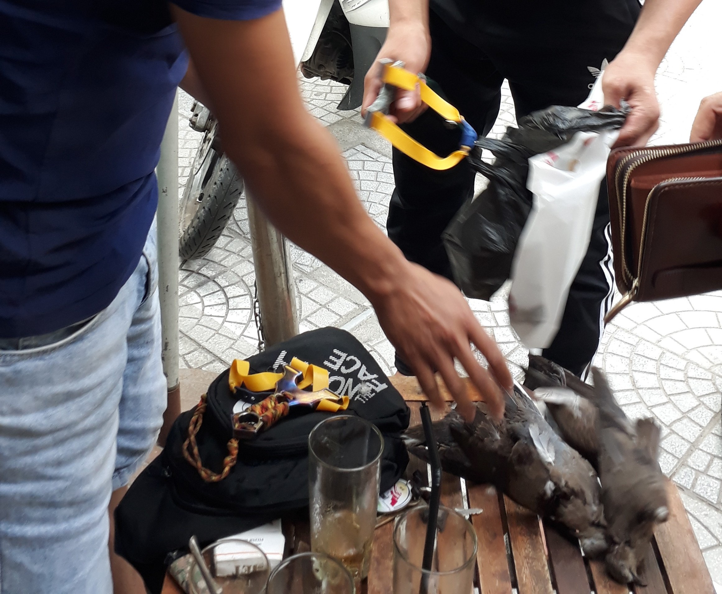 Ngang nhiên sử dụng ná cao su bắn chim giữa thành phố