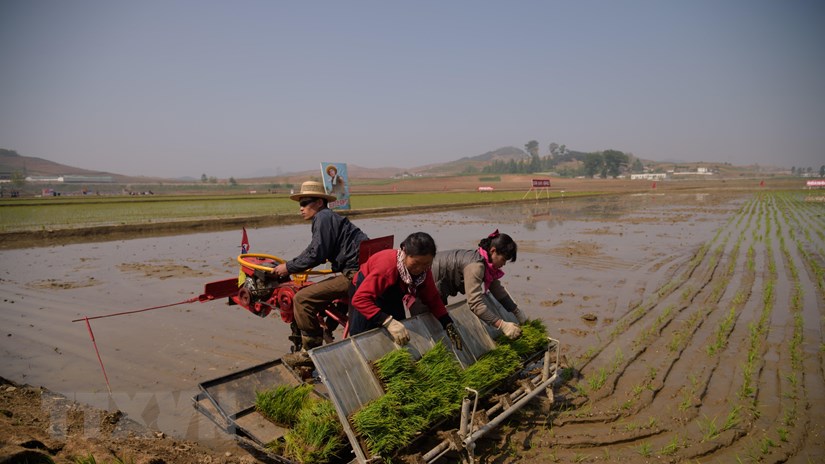 Thành phố Seoul xem xét viện trợ 1 triệu USD cho Triều Tiên