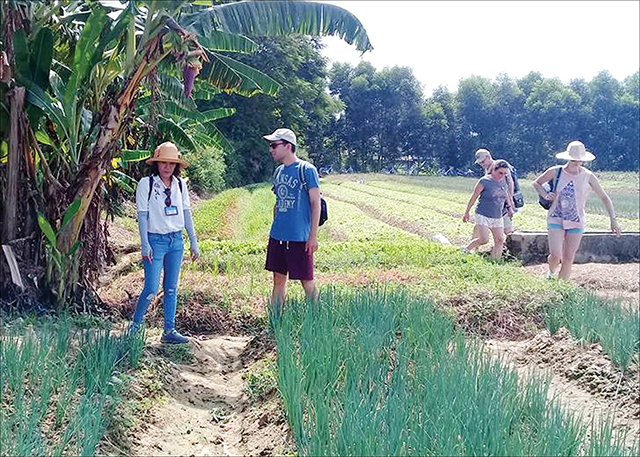 Chưa gắn kết phát triển du lịch với nông nghiệp