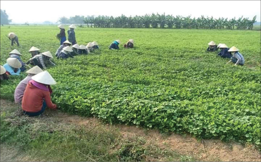 Phụ nữ Quảng Phú sáng tạo cách gây quỹ