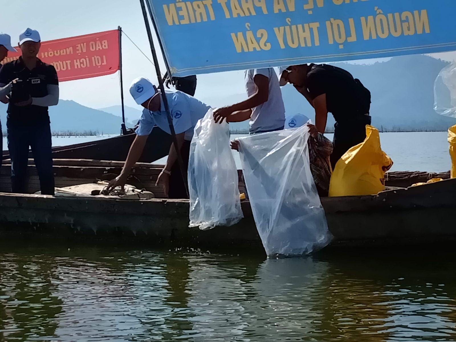 Stocking over 100 thousand breeding black tiger shrimps and 2 thousand crabs into the sea