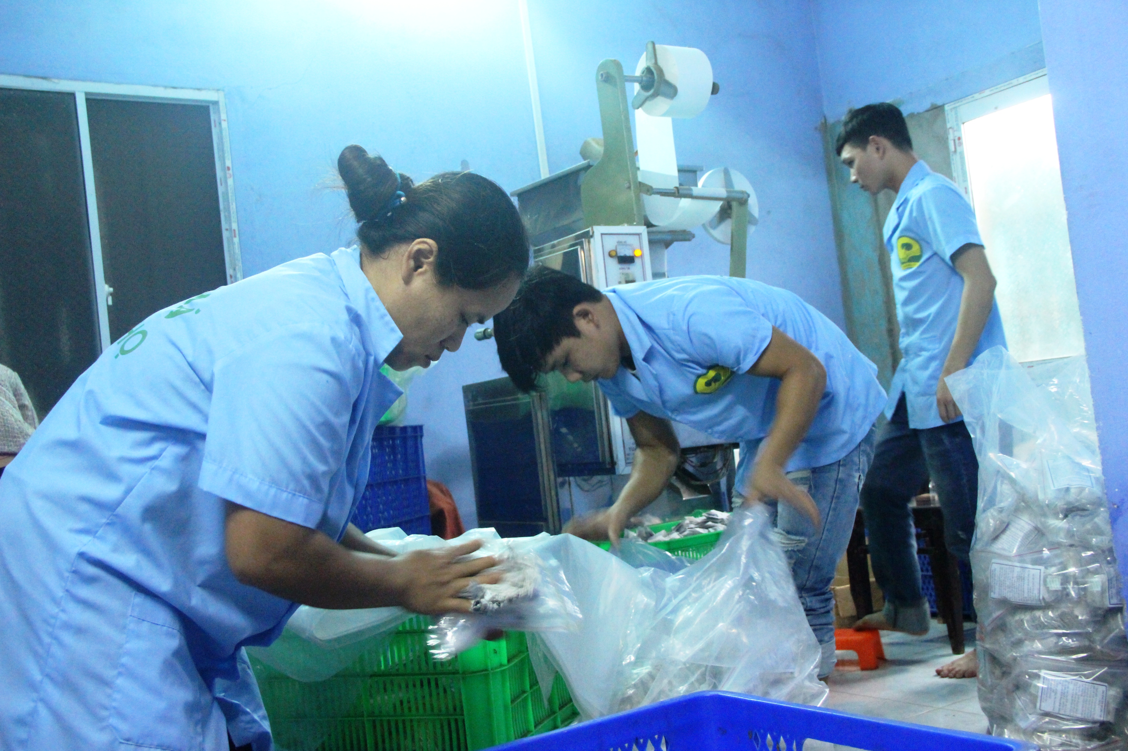 Phổ biến pháp luật về bảo hiểm xã hội cho hợp tác xã