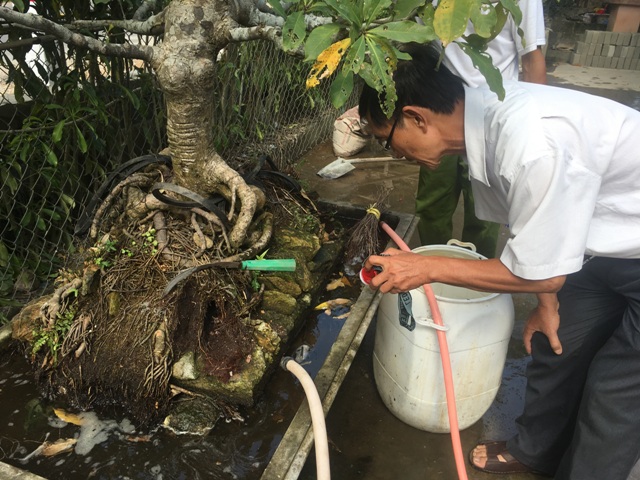 Không chủ quan với sốt xuất huyết