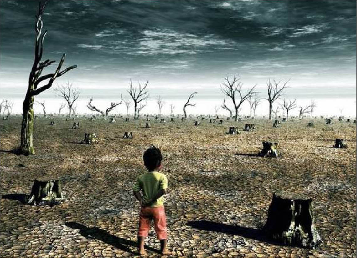 LHQ “Mỗi năm, thế giới mất 24 tỷ tấn đất đai màu mỡ”