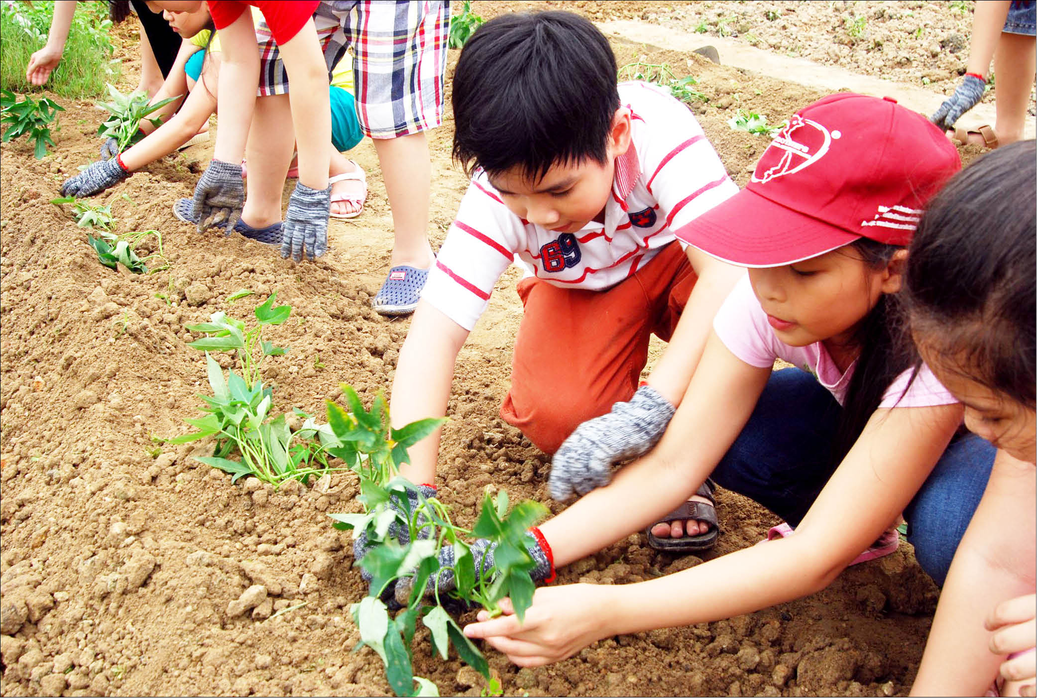 Tour du lịch trại hè Thiếu nhà tổ chức chuyên nghiệp