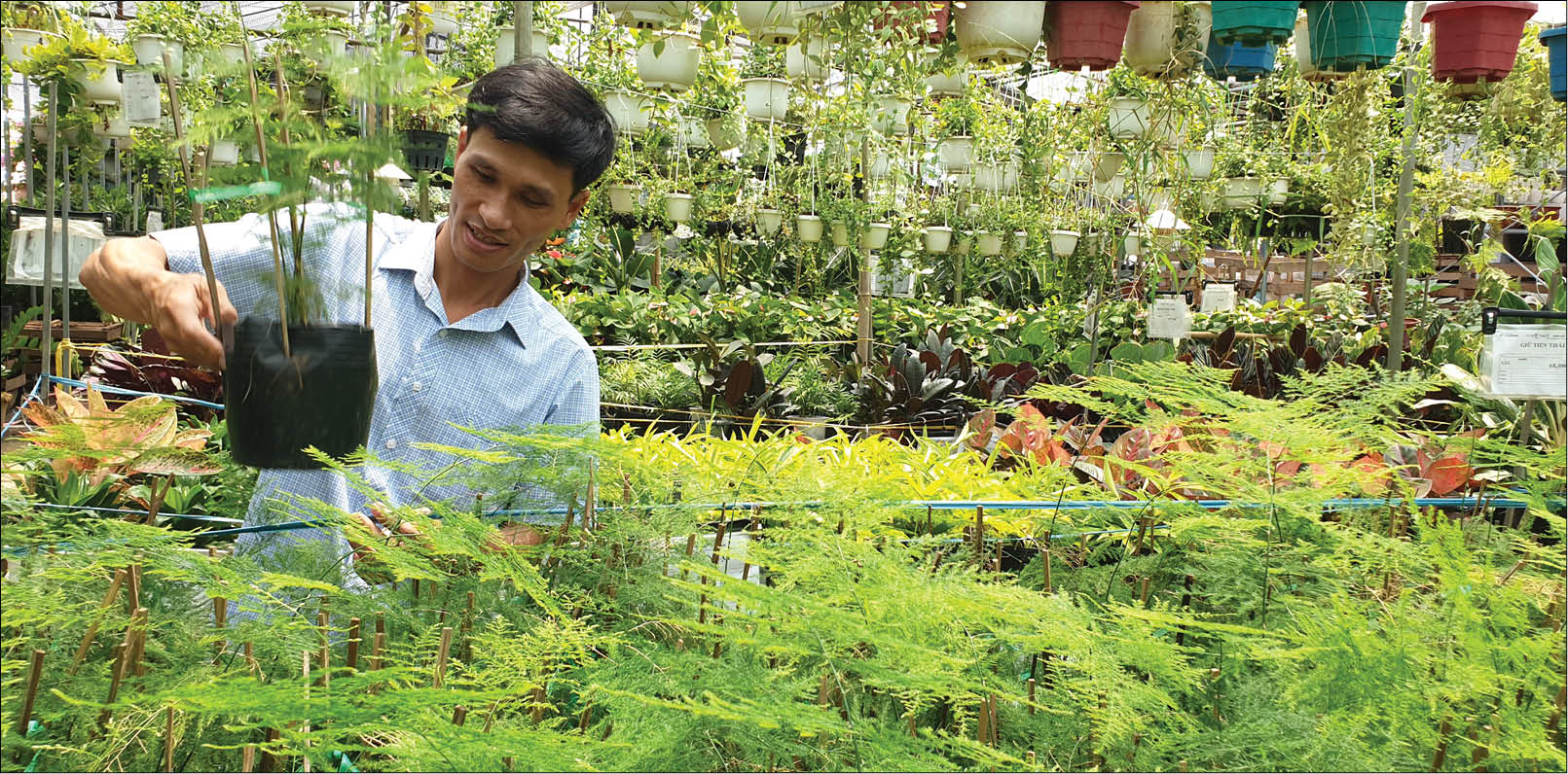 Thành công từ kỹ năng chịu đựng rủi ro