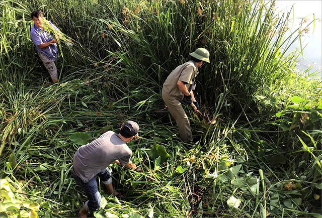 Chuyển biến từ nhận thức đến hành động