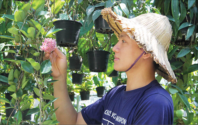 Sống “khỏe” nhờ cẩm cù