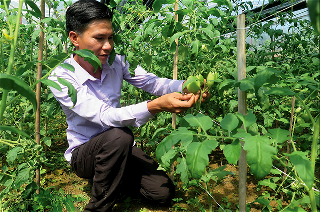 “Liều”  khởi nghiệp