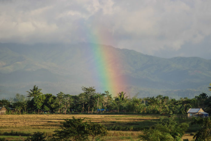 Châu Á – Thái Bình Dương phải đầu tư vào nông nghiệp để đạt được mục tiêu phát triển bền vững