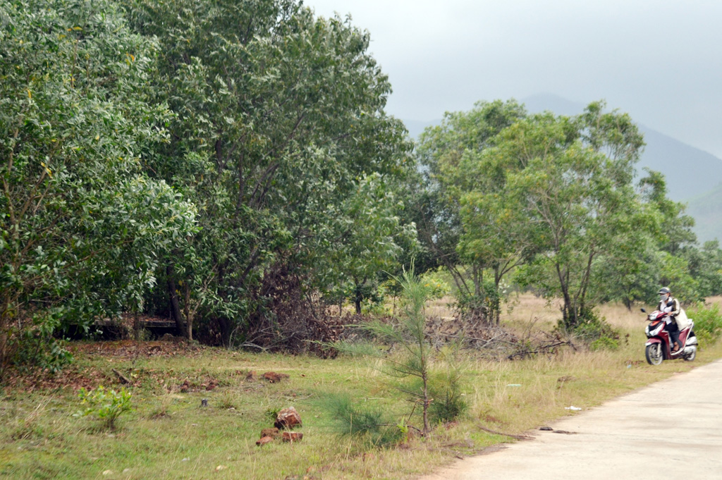Phát hiện nhiều sai phạm