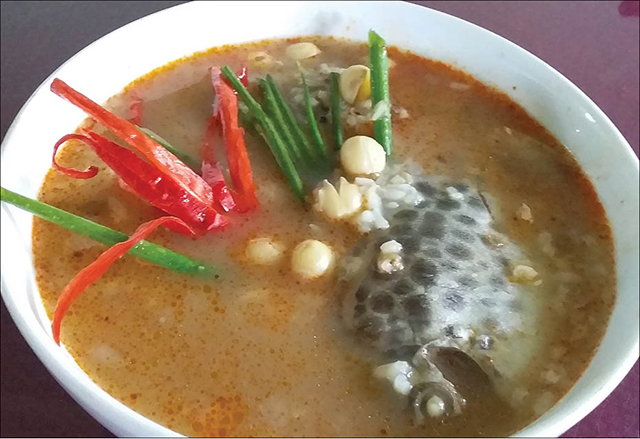 Fresh spotted scat porridge